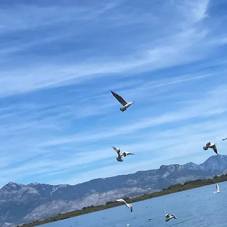 Guest house Holiday Home 3*