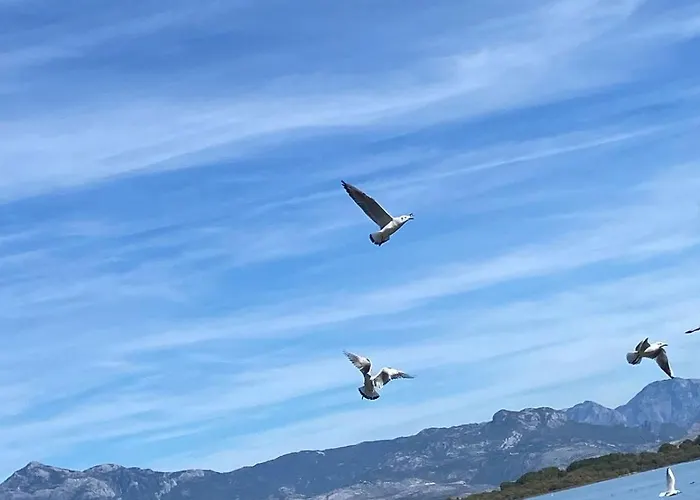 Penzion Holiday Home 3*